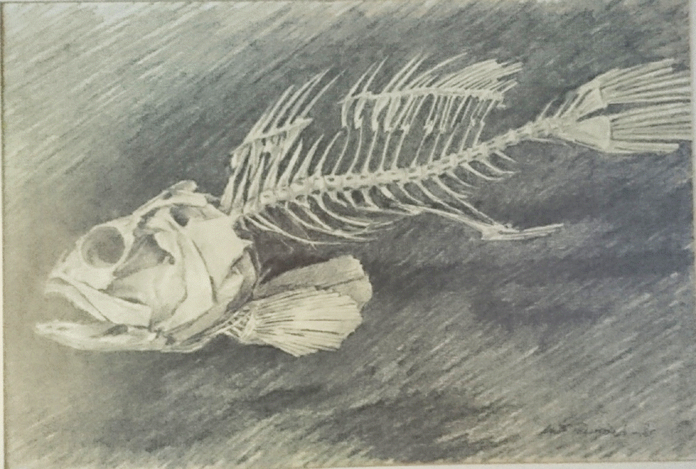 kalanluuranko